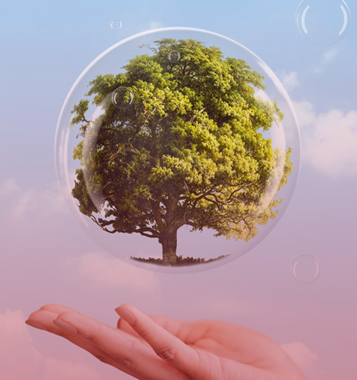 Sustainability